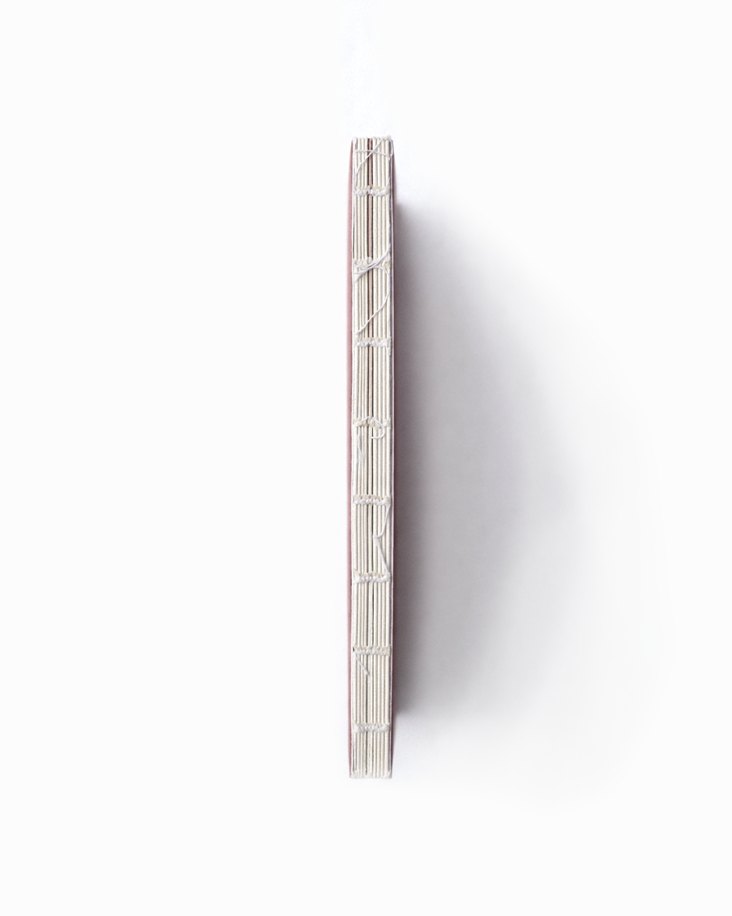 Ayma Ajanda &amp; Tarihsiz Planlayıcı